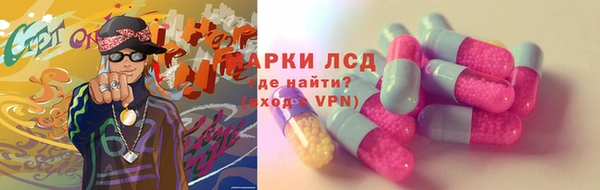 ешки Аркадак