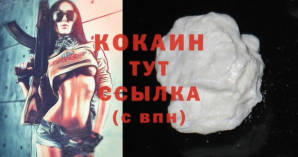 стафф Арсеньев