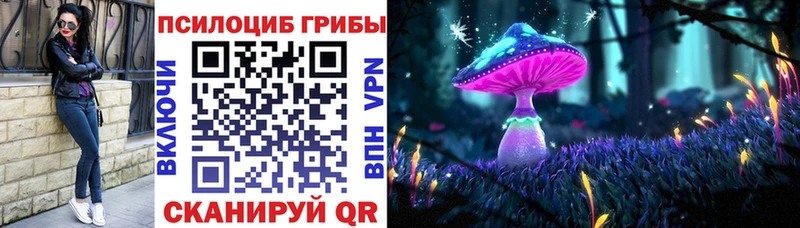 где найти   Киреевск  Псилоцибиновые грибы Magic Shrooms 